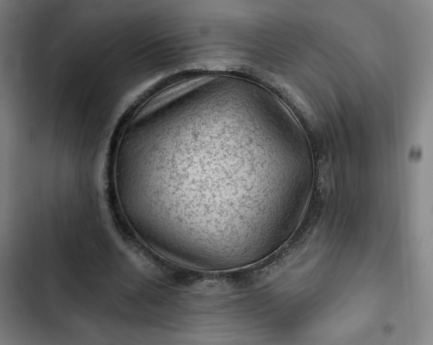 X0000102460536200808221621