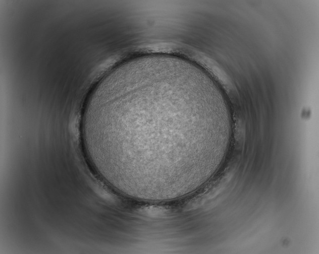 X0000102460537200808221621