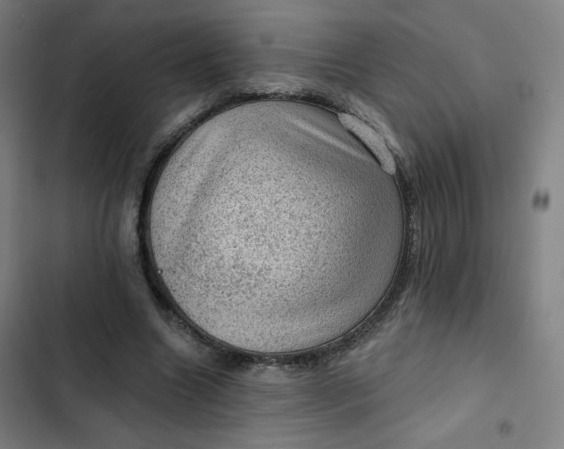 X0000102460538200808221621