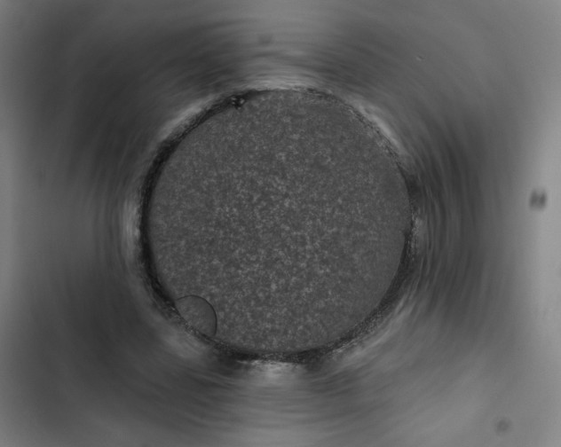 X0000102460539200808221621