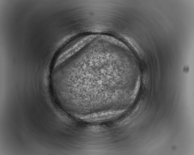 X0000102460540200808221621