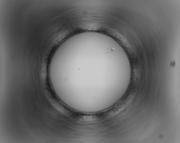 X0000102460541200808221621