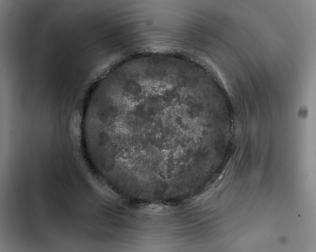 X0000102460542200808221621