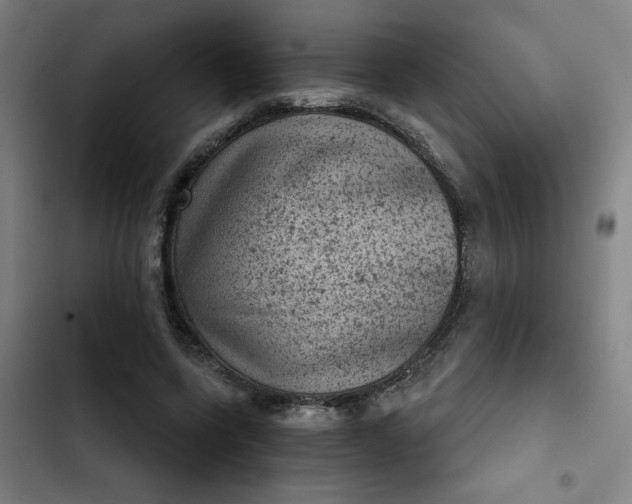 X0000102460543200808221621