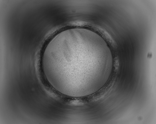 X0000102460544200808221621