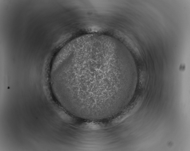 X0000102460545200808221621