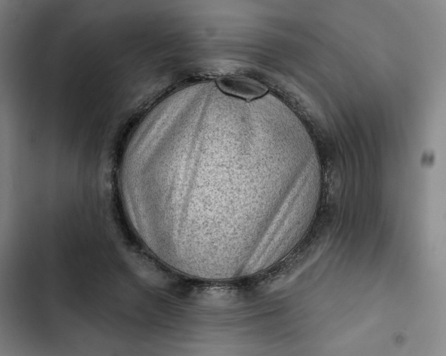 X0000102460546200808221621