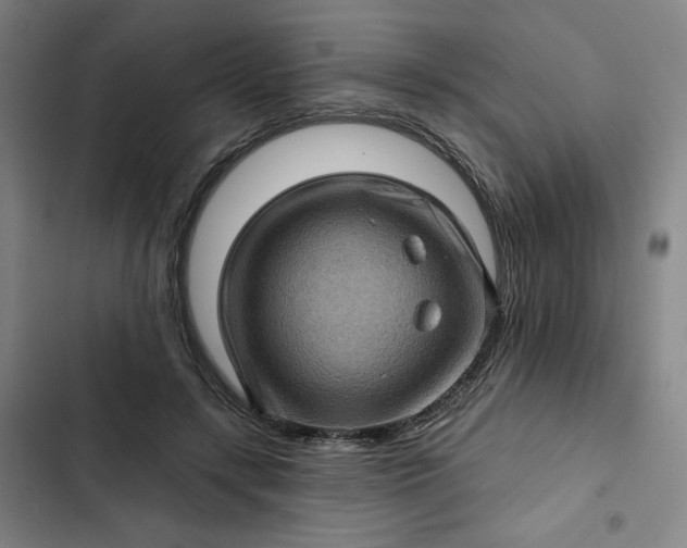 X0000102460547200808221621