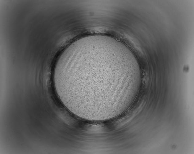 X0000102460548200808221621