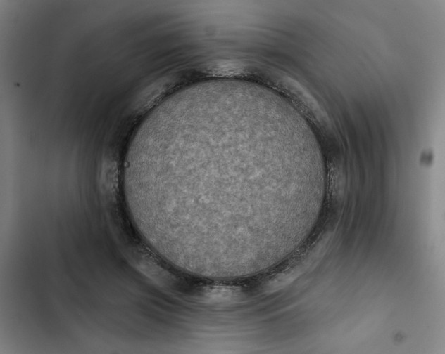 X0000102460549200808221621