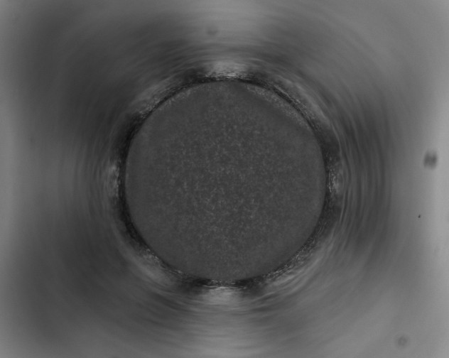 X0000102460551200808221621