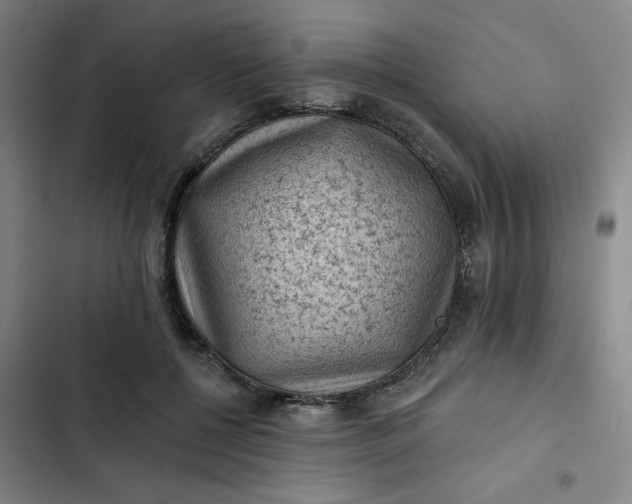 X0000102460552200808221621