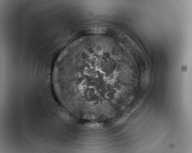 X0000102460553200808221621