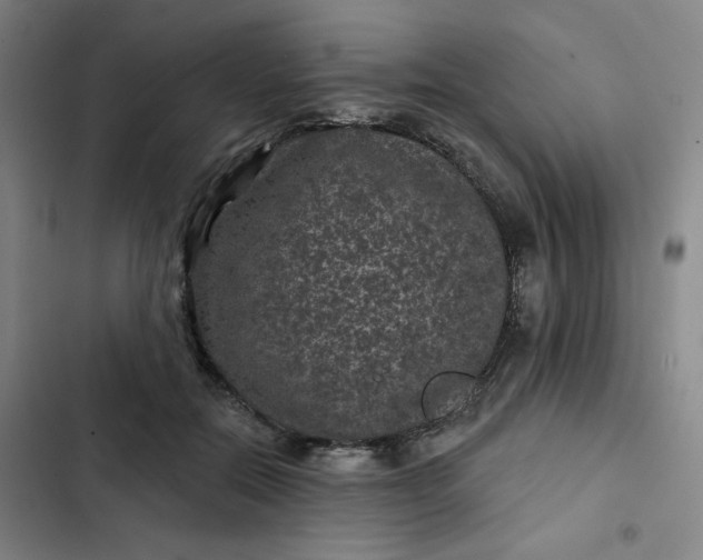 X0000102460554200808221621