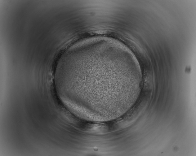 X0000102460555200808221621