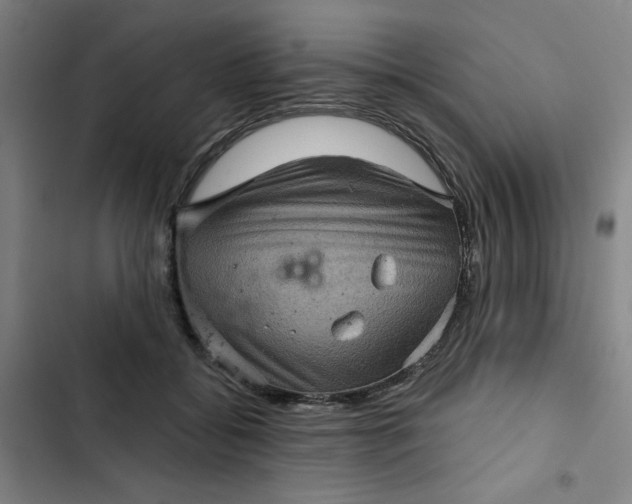 X0000102460556200808221622