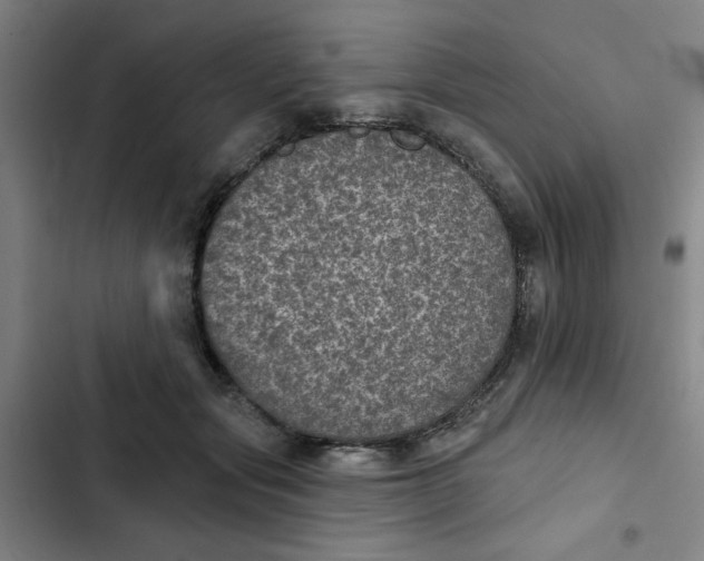 X0000102460557200808221622