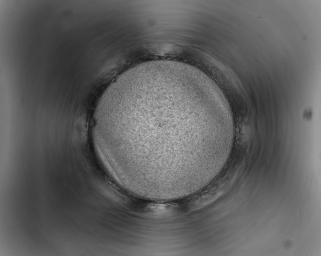 X0000102460558200808221622