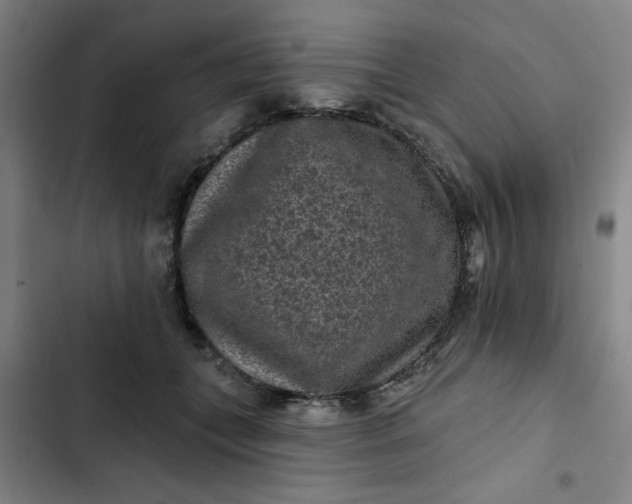 X0000102460559200808221622