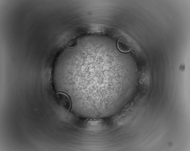 X0000102460560200808221622