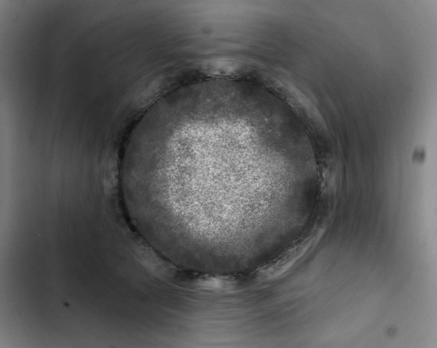 X0000102460561200808221622