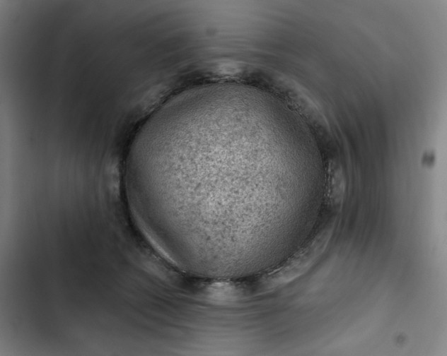 X0000102460562200808221622