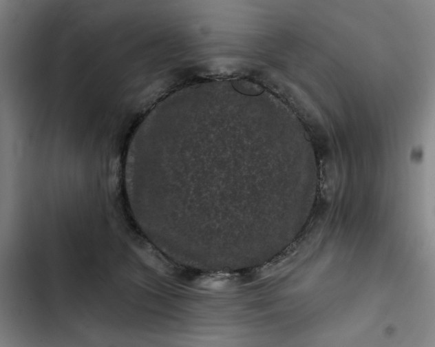 X0000102460563200808221622