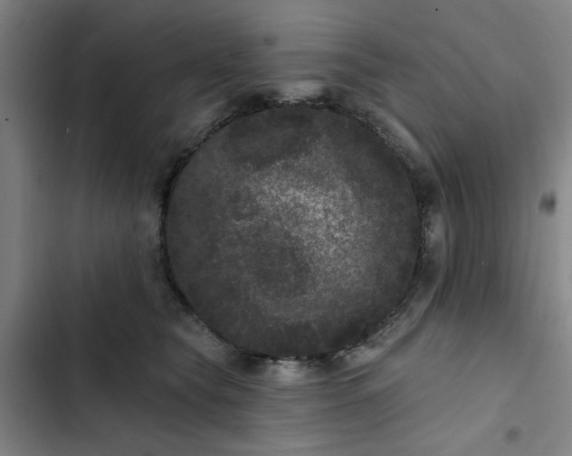 X0000102460565200808221622