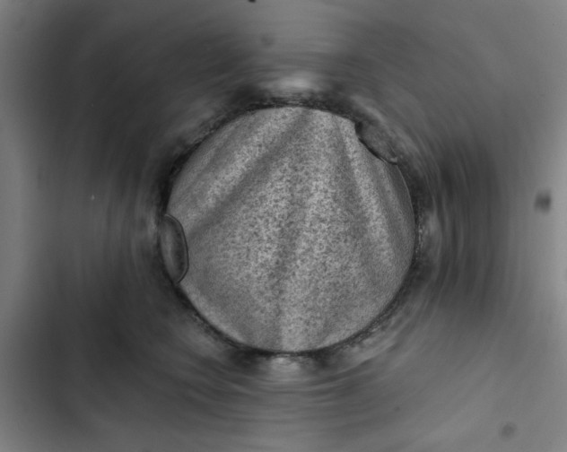 X0000102460566200808221622