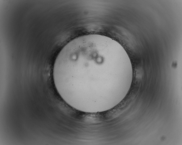 X0000102460567200808221622