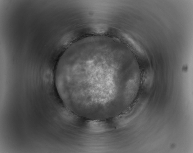 X0000102460568200808221622