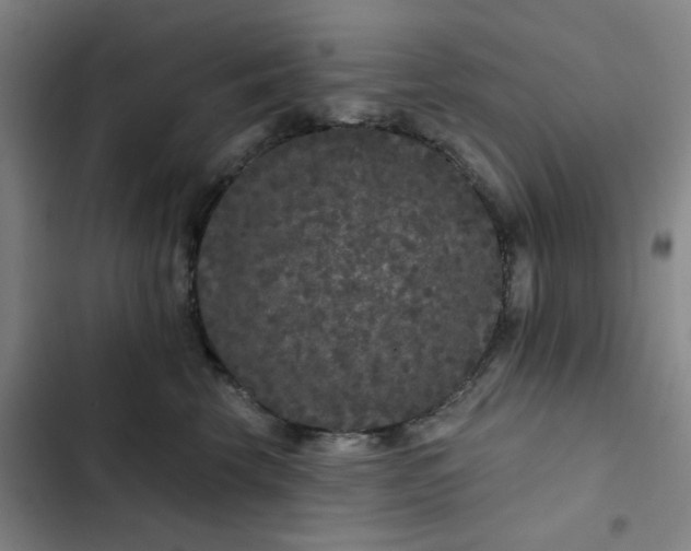 X0000102460569200808221622