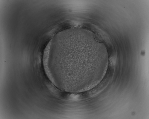 X0000102460570200808221622