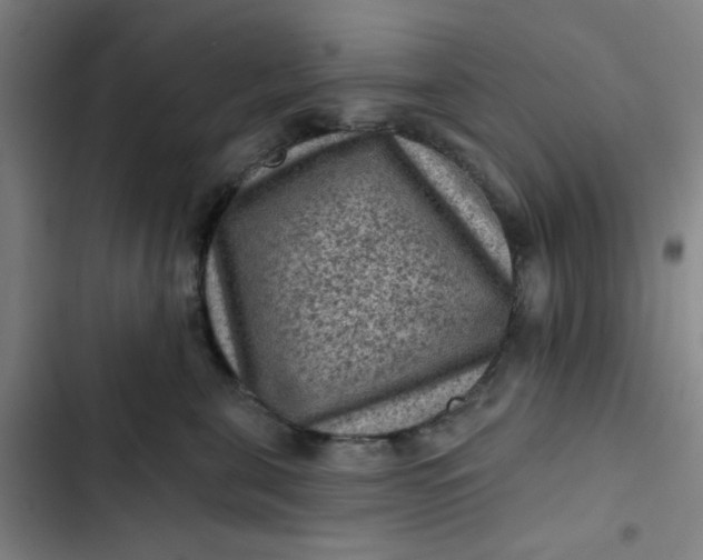 X0000102460571200808221622