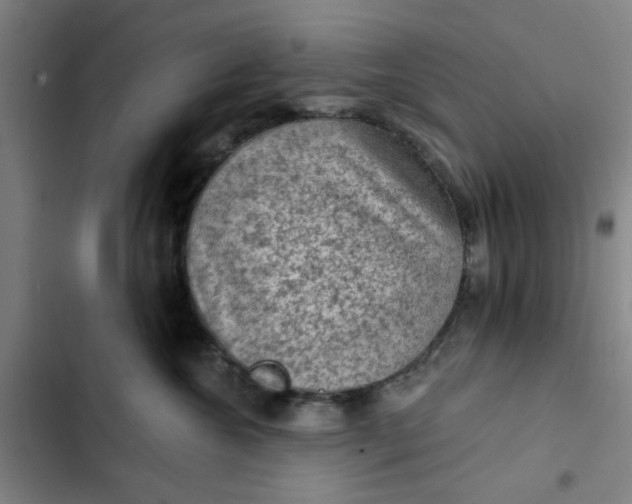 X0000102460572200808221622