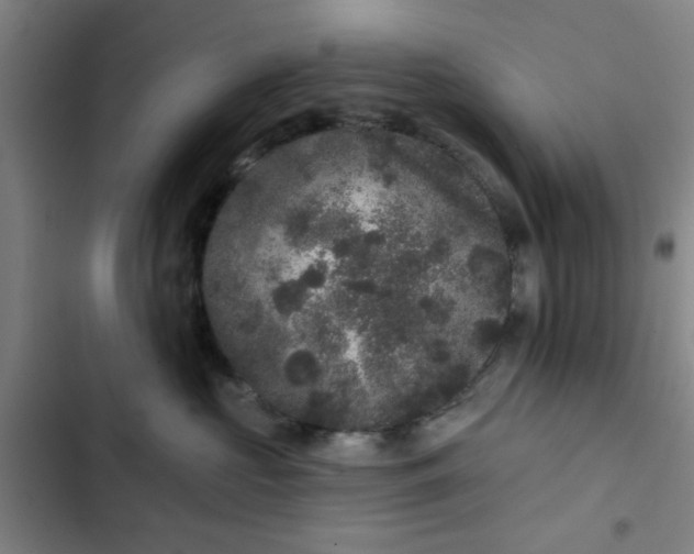 X0000102460573200808221622