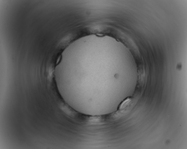 X0000102460574200808221622