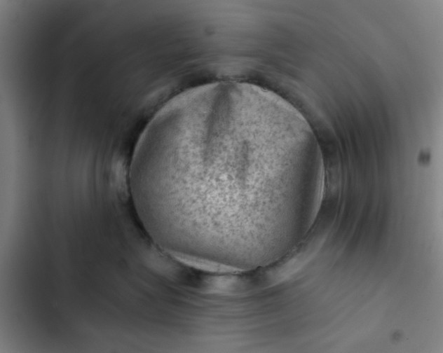 X0000102460575200808221622