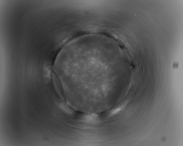 X0000102460576200808221622