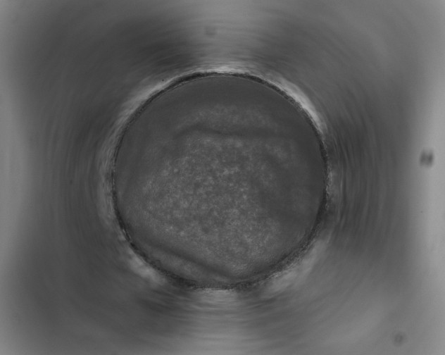 X0000102460577200808221621