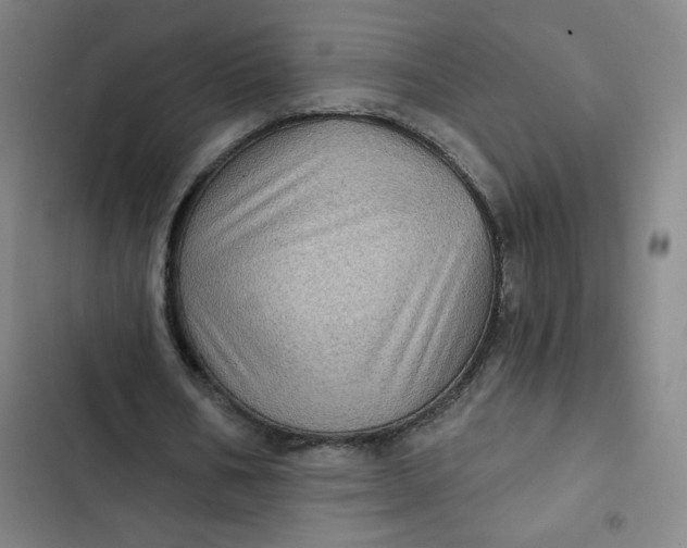 X0000102460578200808221621