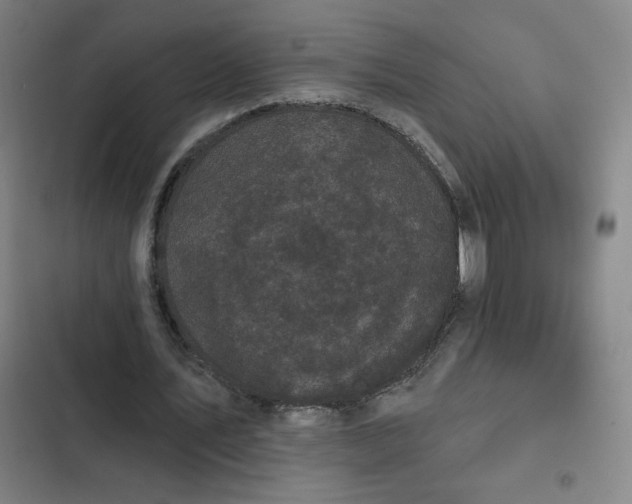 X0000102460579200808221621