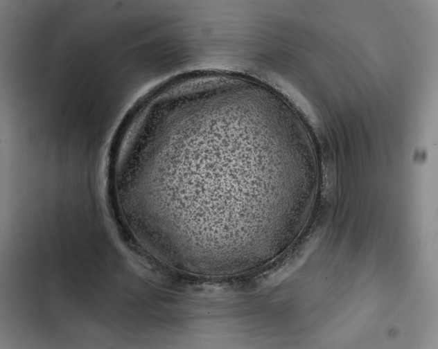 X0000102460580200808221621