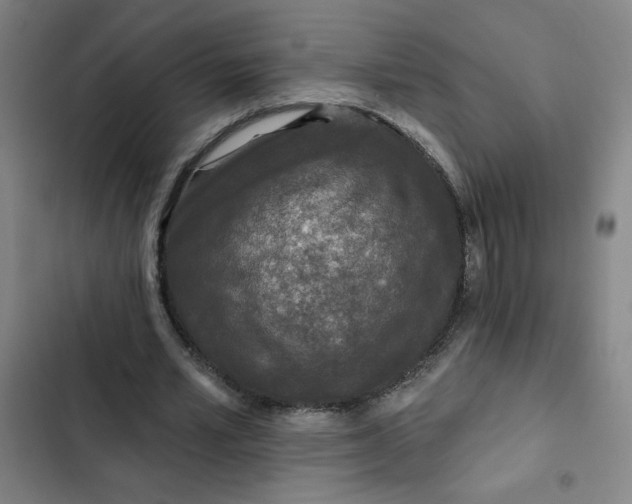 X0000102460581200808221621