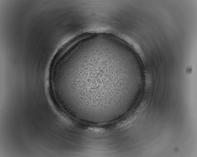 X0000102460582200808221621