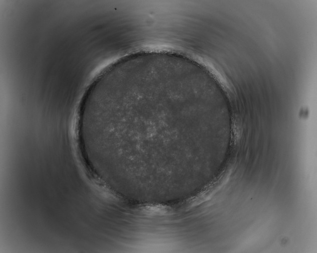 X0000102460583200808221621