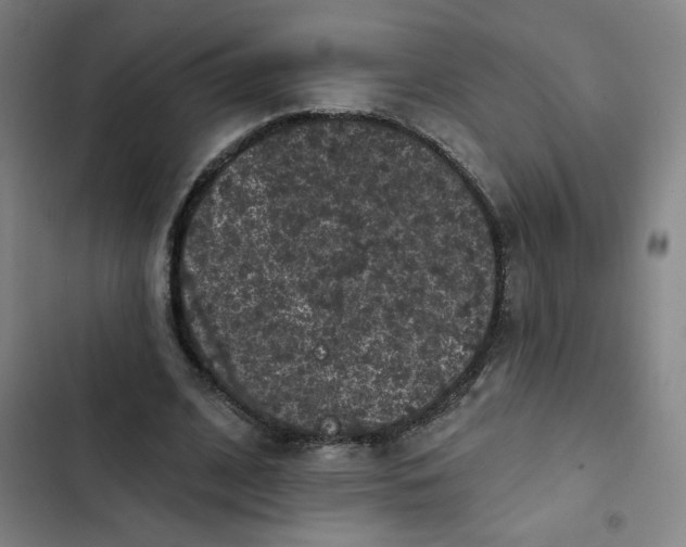 X0000102460584200808221621