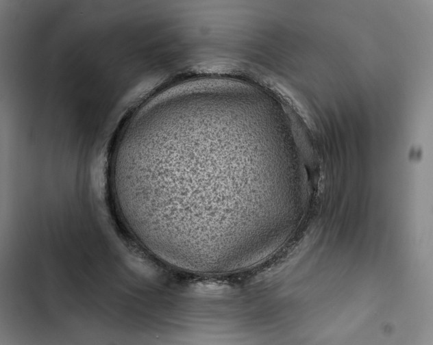 X0000102460586200808221621