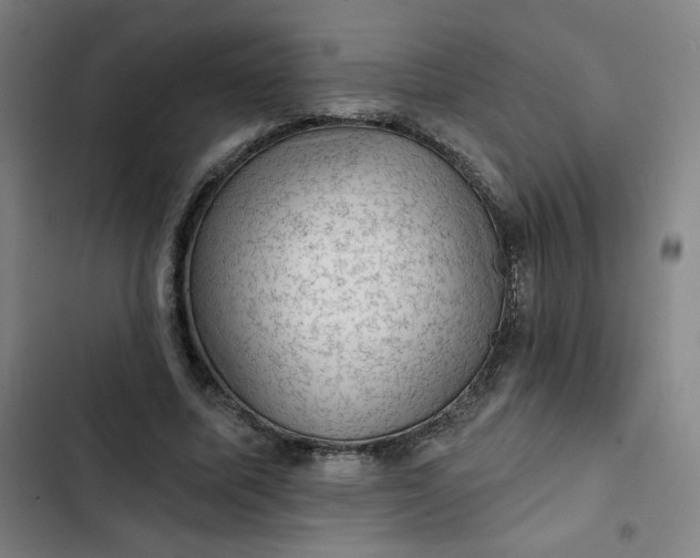 X0000102460587200808221621