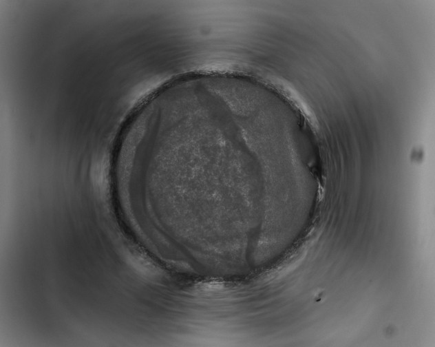 X0000102460588200808221621